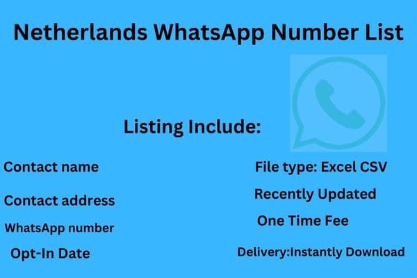 Netherlands WhatsApp Number List