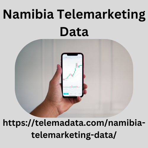 Namibia Telemarketing Data