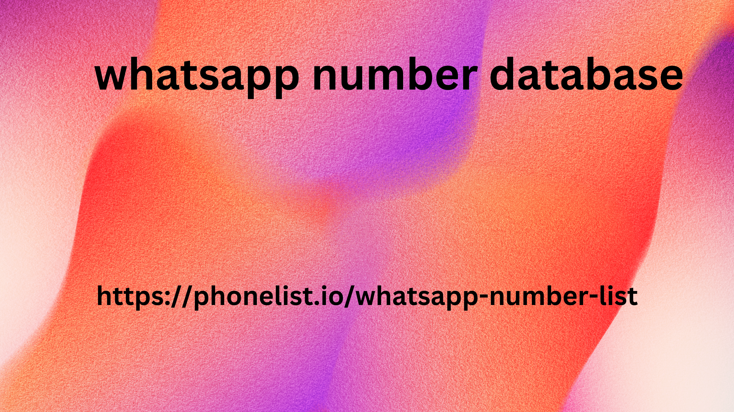 whatsapp number database